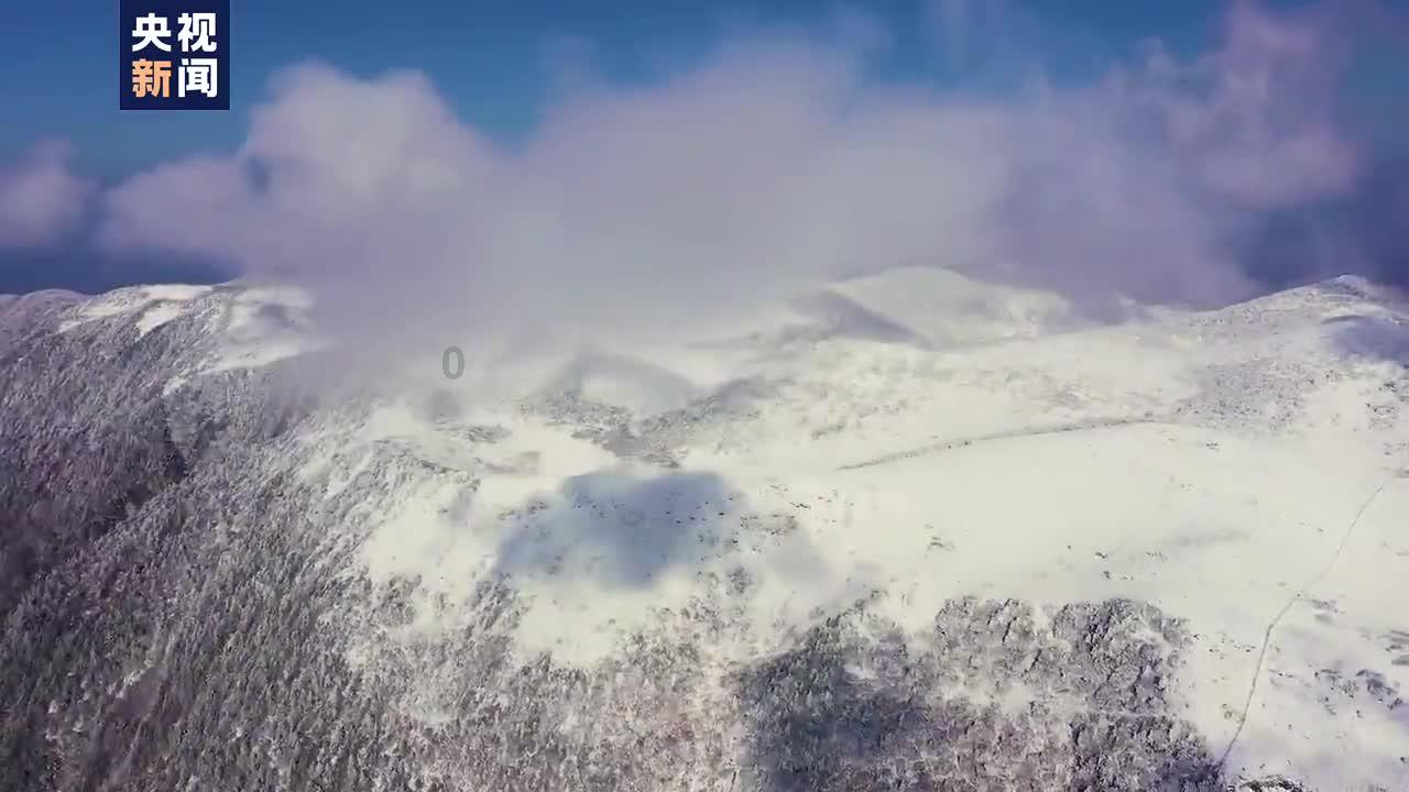 如何评价蔡忆凡的音乐水平？游戏画面